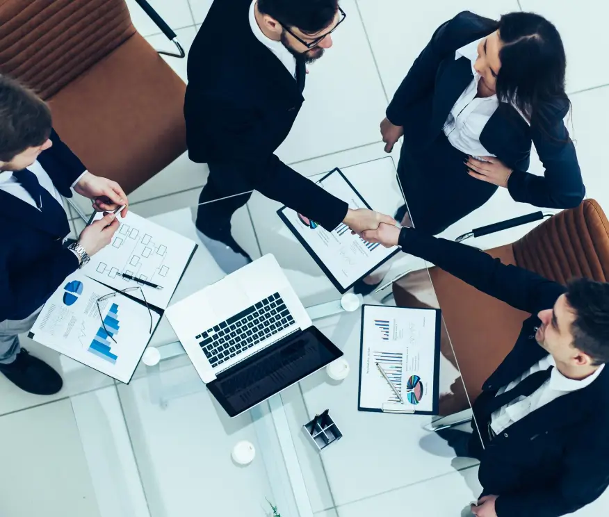 Consulting Services